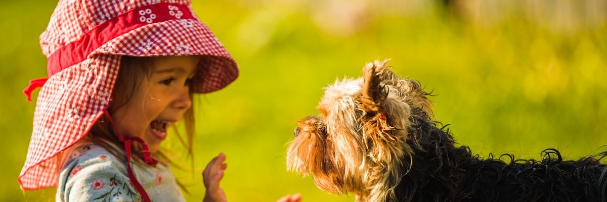 Exposição precoce a cães pode proteger bebês contra o eczema