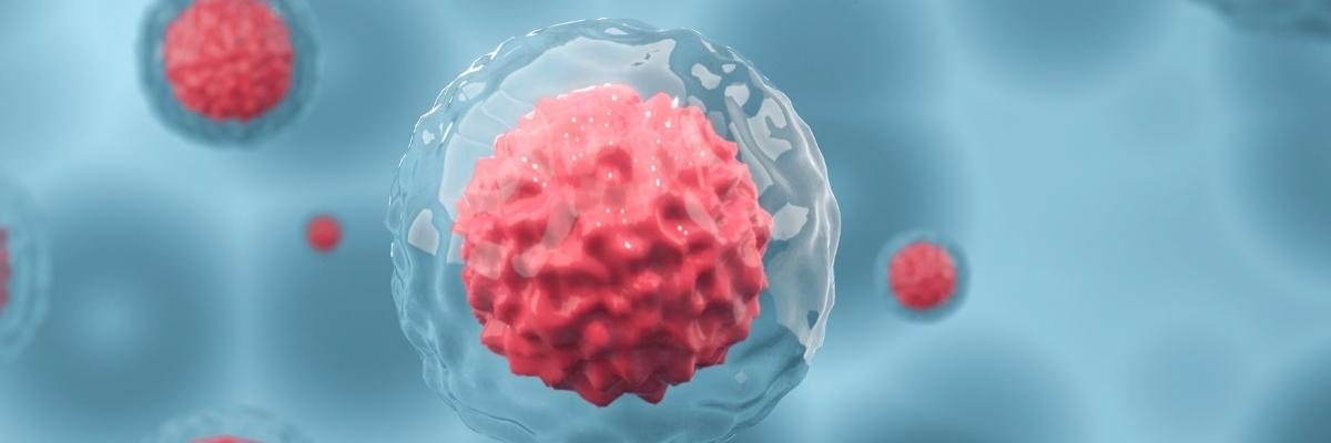 Momento exato da gravidez registrado em vídeo pela primeira vez